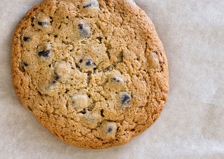 Chocolate Chip Cookie