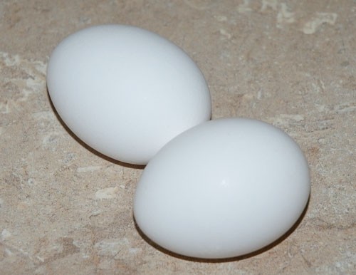 2 Egg Side