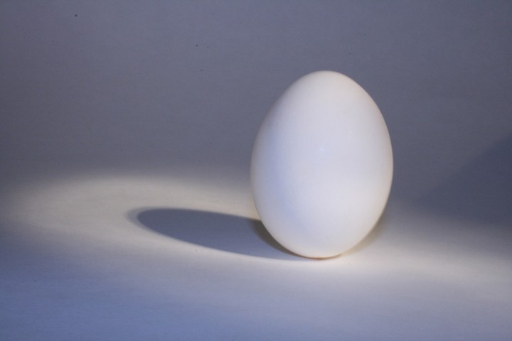 1 Egg Side