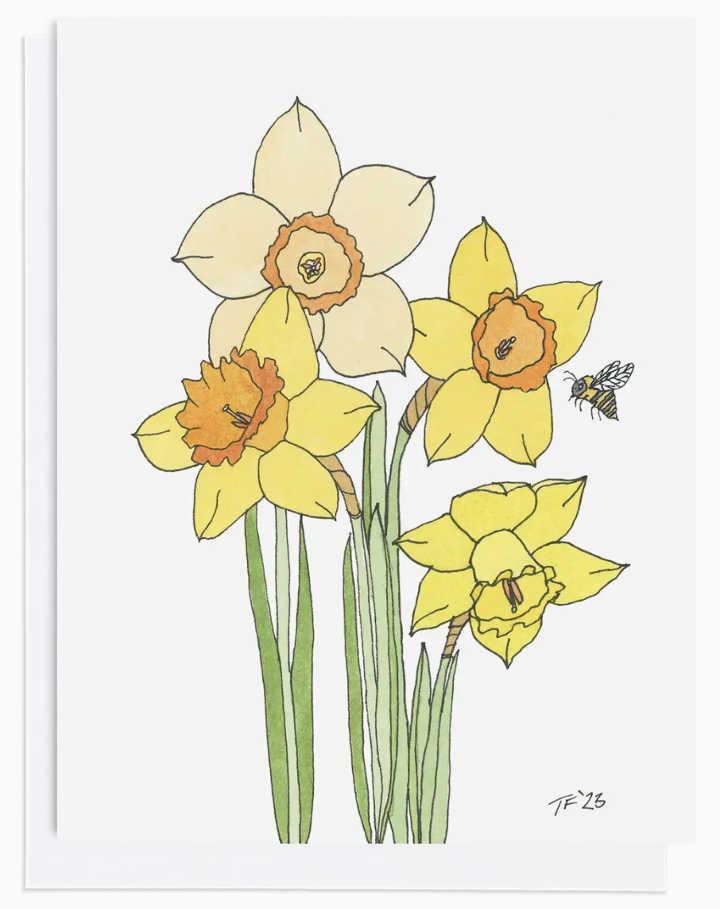 Daffodil Botanical Card