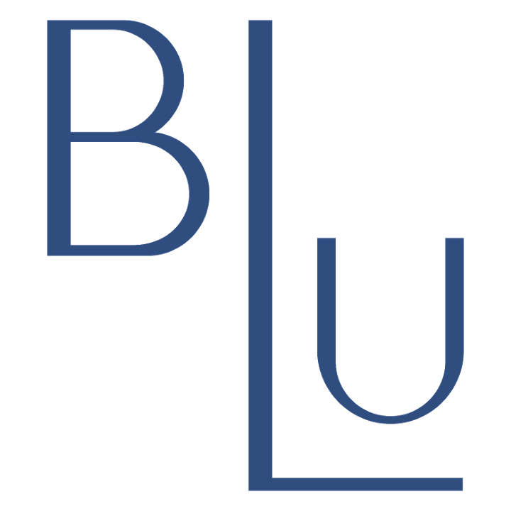 BLU ON THE HUDSON