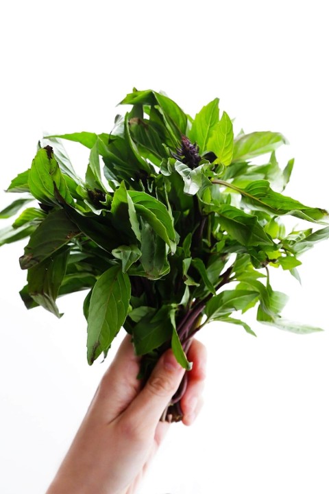 Thai basil, 5 stalks