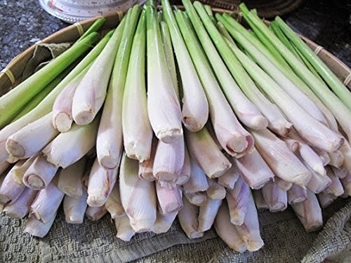 lemongrass, 1 stalk