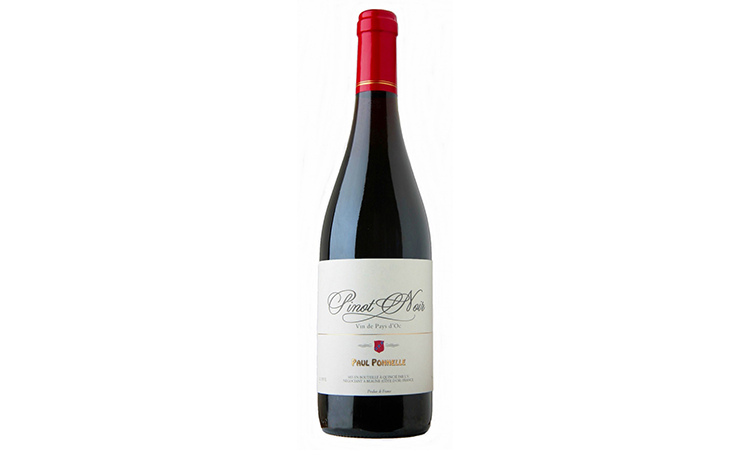 $2 off Glass- Paul Ponelle Pinot Noir