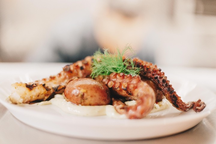GRILLED OCTOPUS