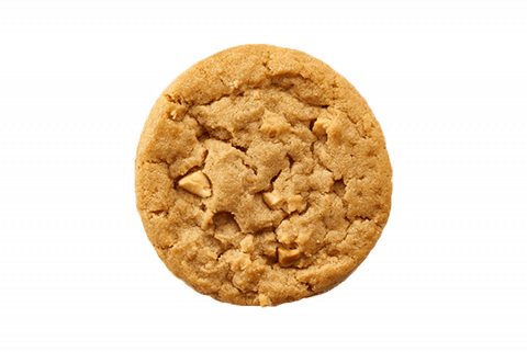 Peanut Butter Cookie