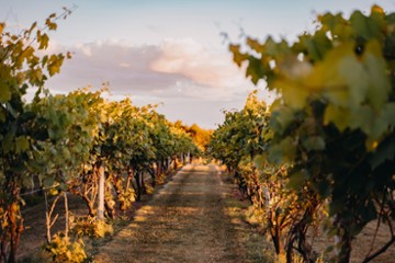 River Bend Winery & Distillery 10439 33rd Avenue