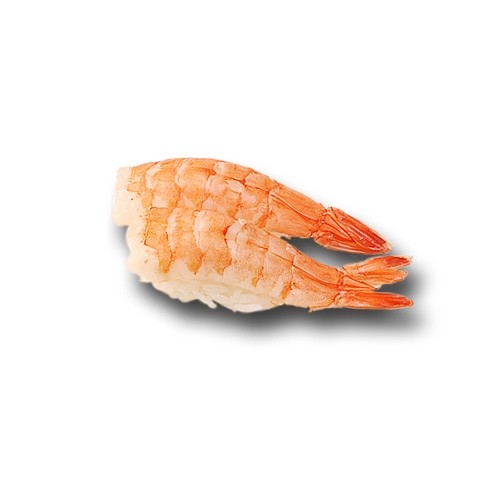 Shrimp Nigiri