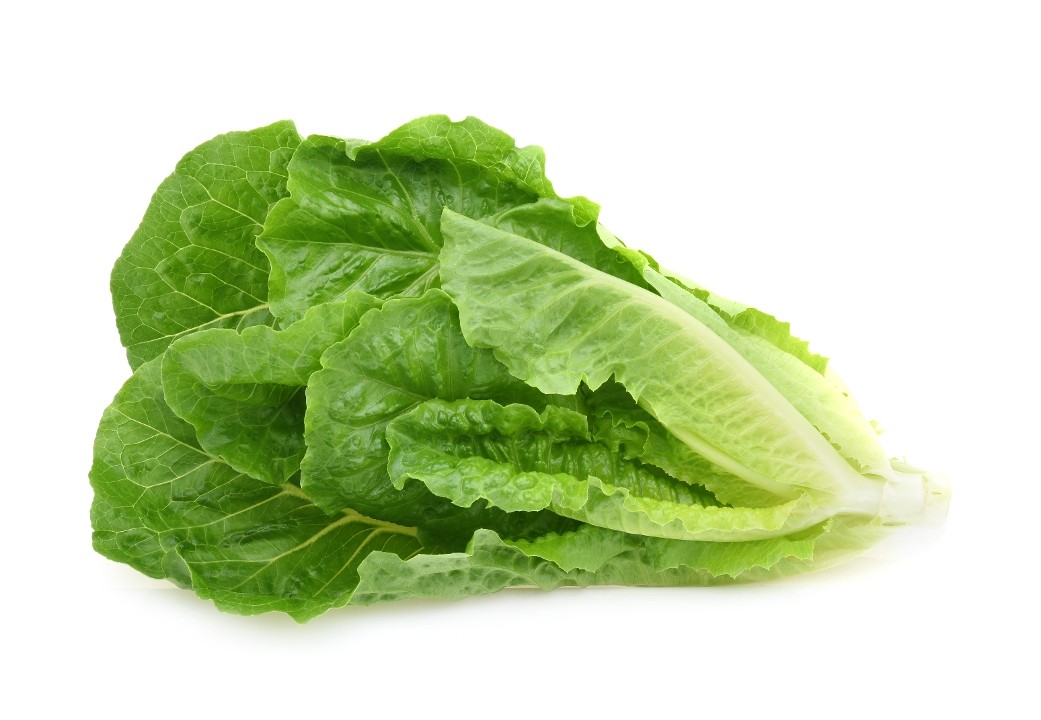 ROMAINE