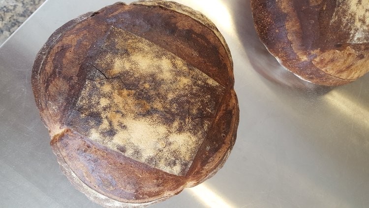 Bread, Lexington Sourdough, Whole Loaf