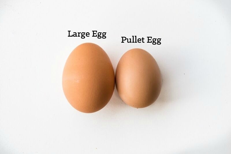 Eggs, Pullet