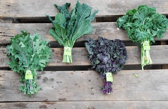 Codman, Greens, Kale