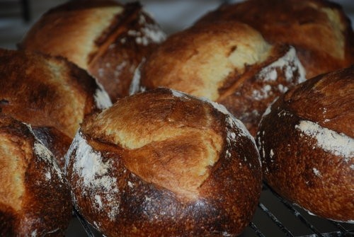 Bread, Durum Levain, Whole Loaf