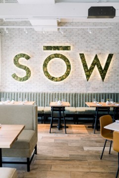 SŌW Plated Upper Arlington