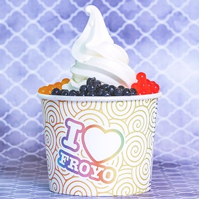 FROYO Frozen Yogurt Business Package