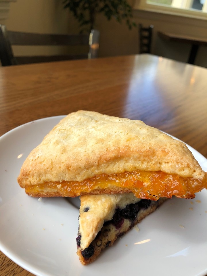 Scone Apricot