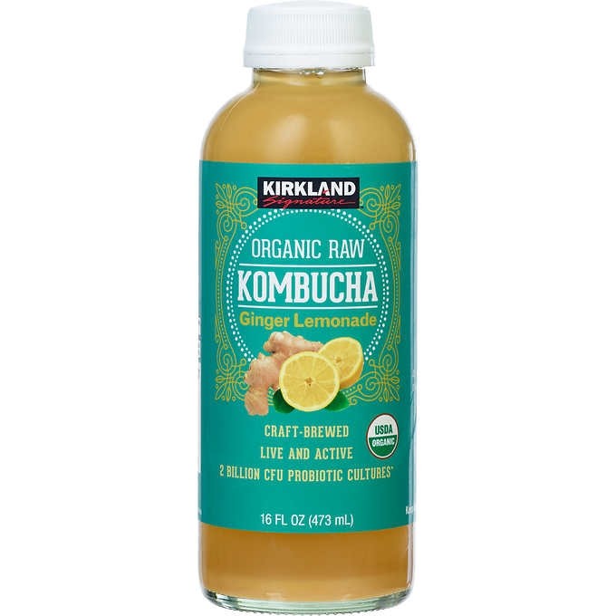 Organic Kombucha (Ginger Lemonade) 16 Fl Oz