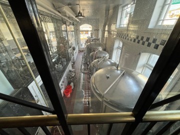 Mayan Monkey Brewing Co.