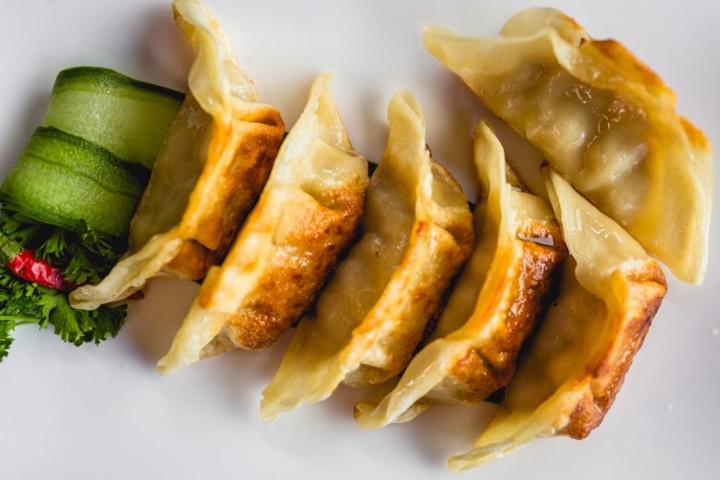 Chicken Dumplings