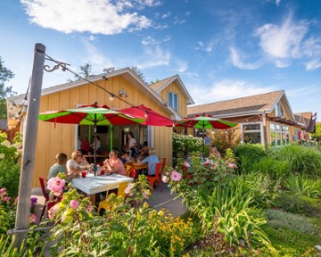 Wild Tomato Pizza Sister Bay
