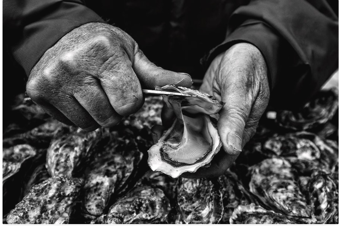 Humble Oysters & Bubbles HS Oyster