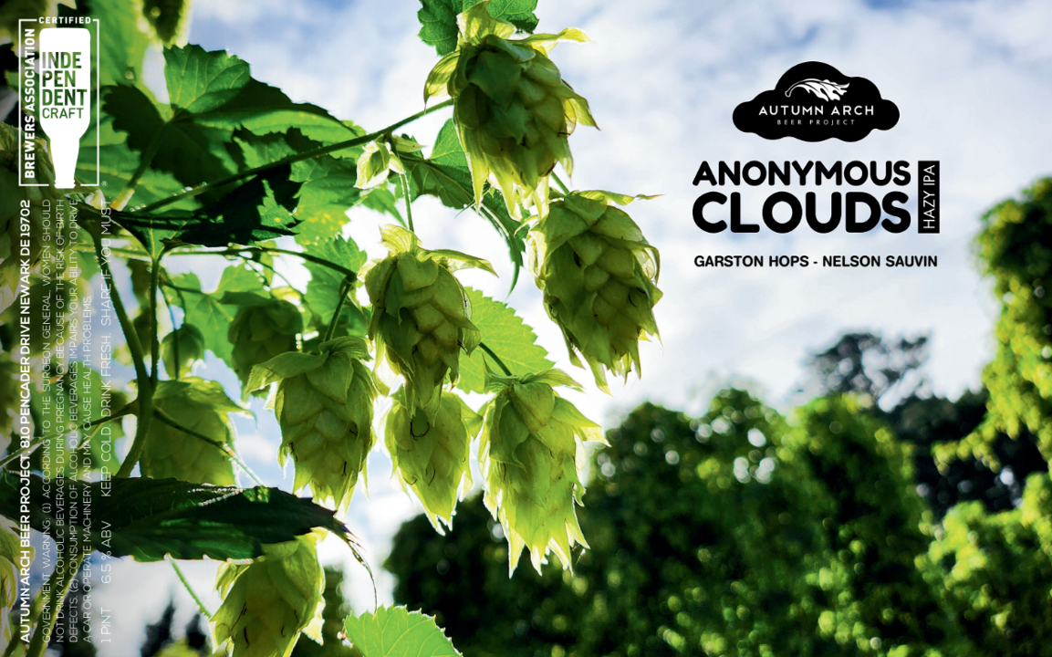 Anonymous Clouds (IPA)