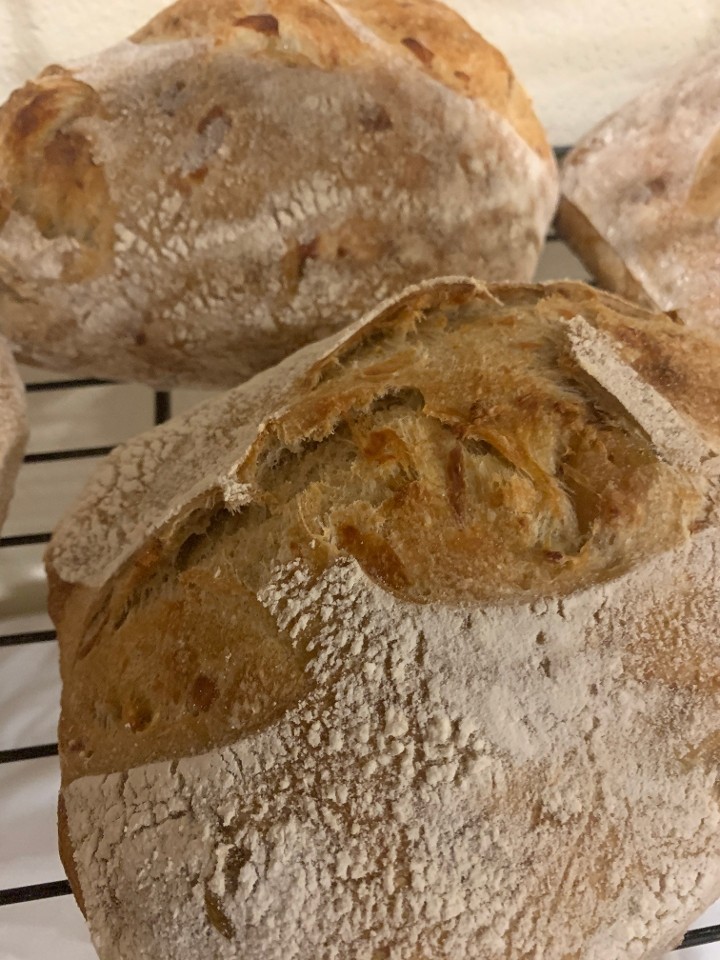 Brick oven bakery macron 6 
