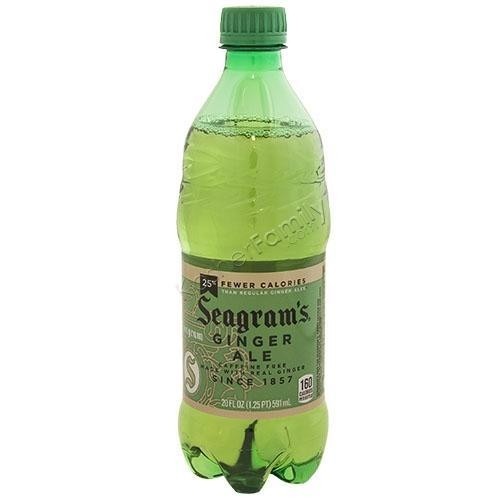 Ginger Ale 20 oz