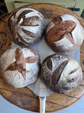 Santa Barbara Hive Cafe/Retail 516 Palm Ave. Carpinteria CA. 93013