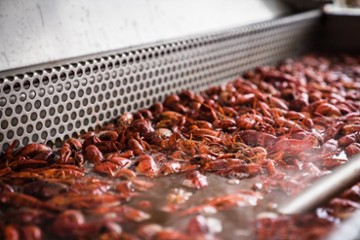 Pooks Crawfish Hole