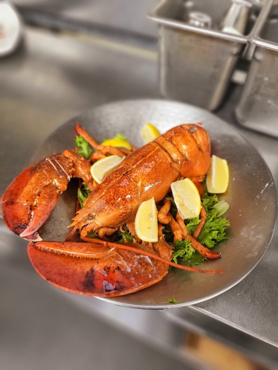 1 1/2 Pound Live Lobster