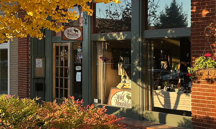A Wild Moose Cafe
