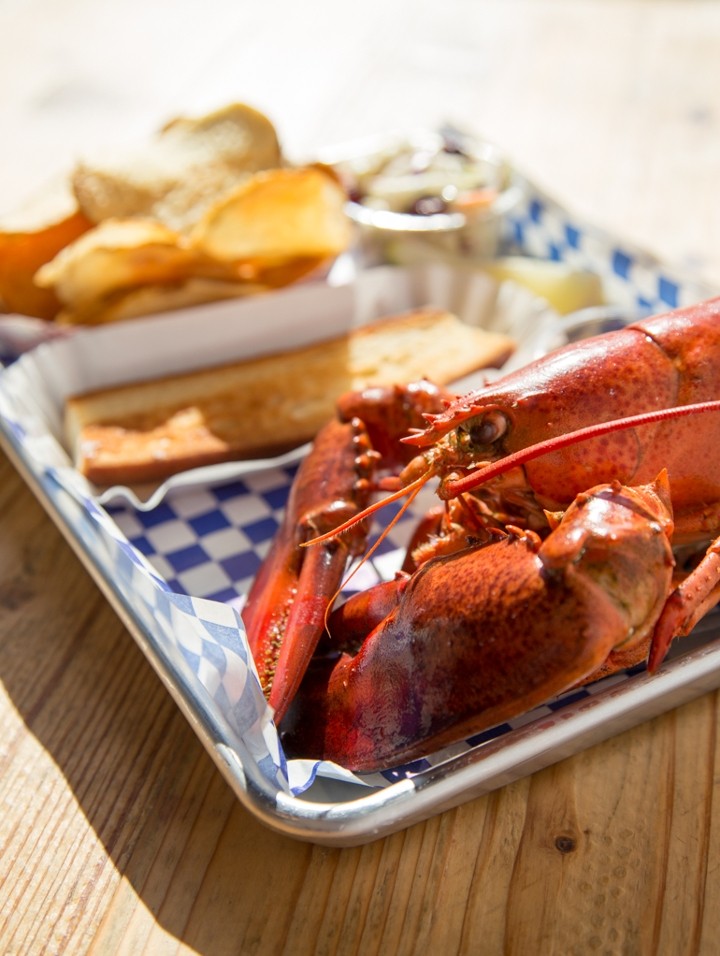 1.5 lb Lobster Plate