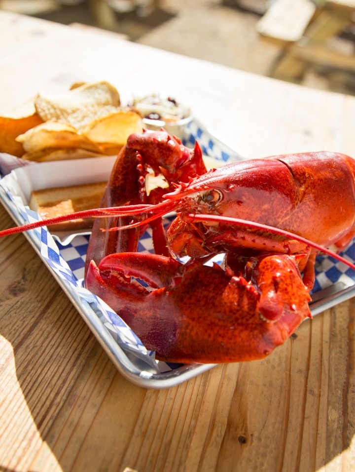 2 lb Lobster Plate