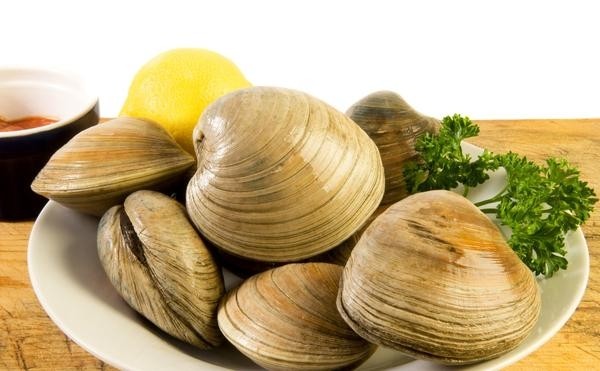 Cherrystone Clams (E. Coast)