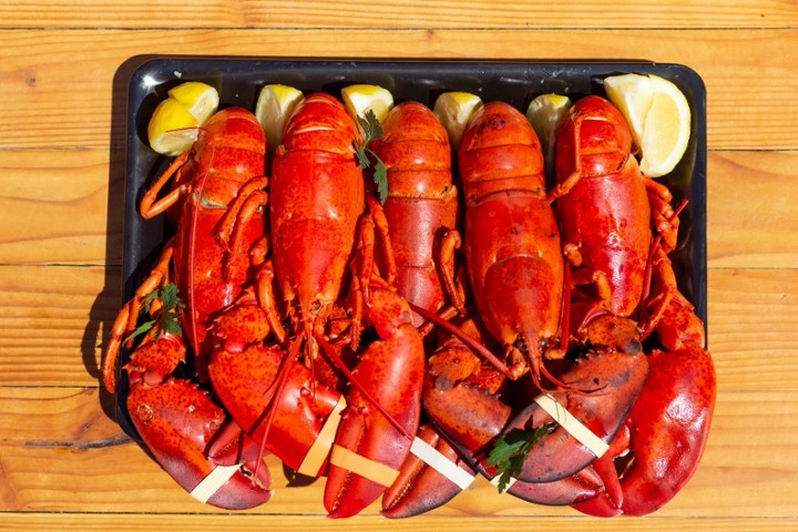 1lb Lobster Platter