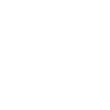 Bos Taurus