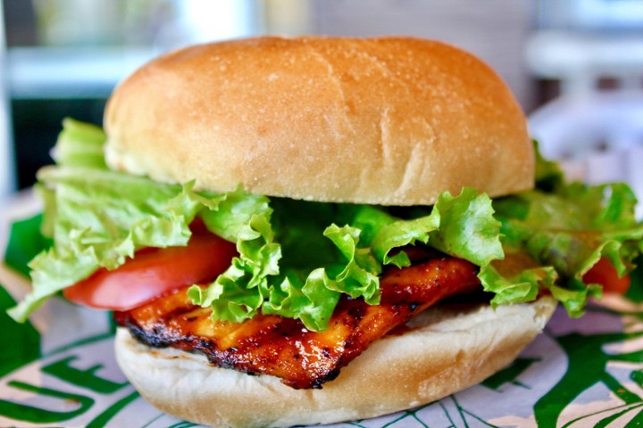 Grilled Chicken Sandwich