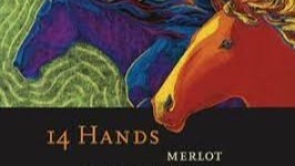 14 HANDS Merlot