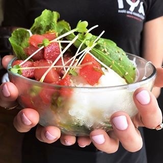 IYA Sushi and Noodle Kitchen - Amherst