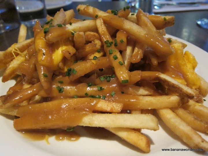 French Fries Turkey Gravy