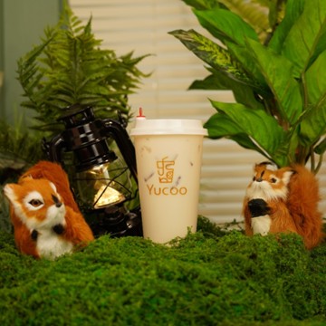 Yucoo - Boston 23B Tyler St