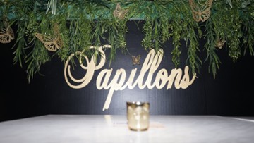 Papillons Cocoon