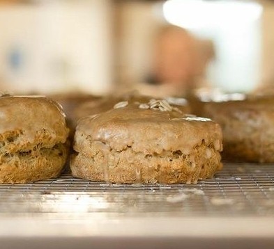 Maple Oat Scone GF/Vegan