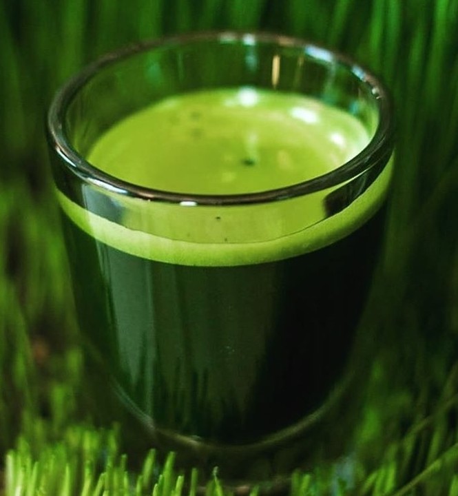 Wheatgrass