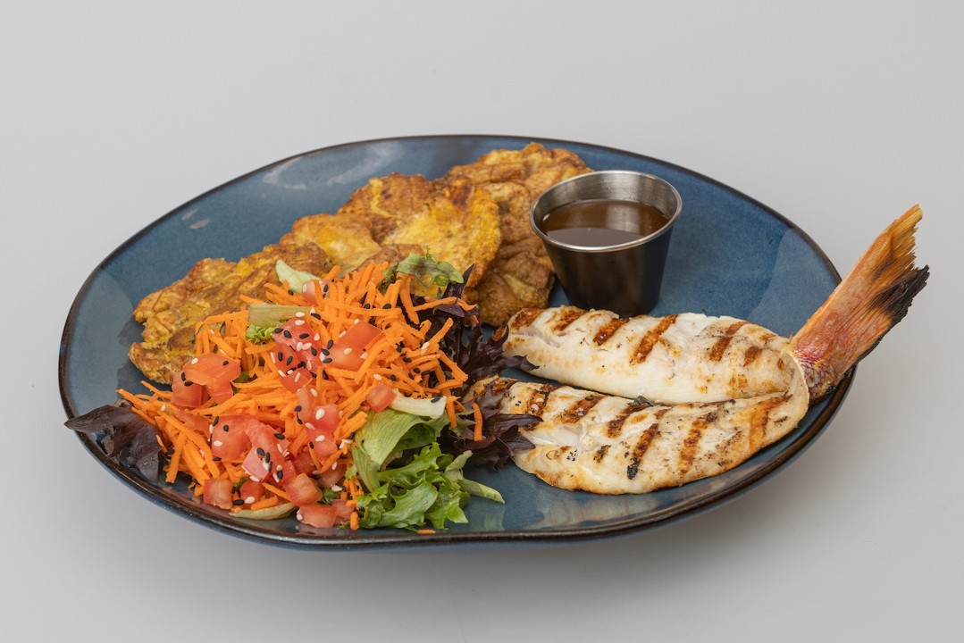 GRILLED SNAPPER