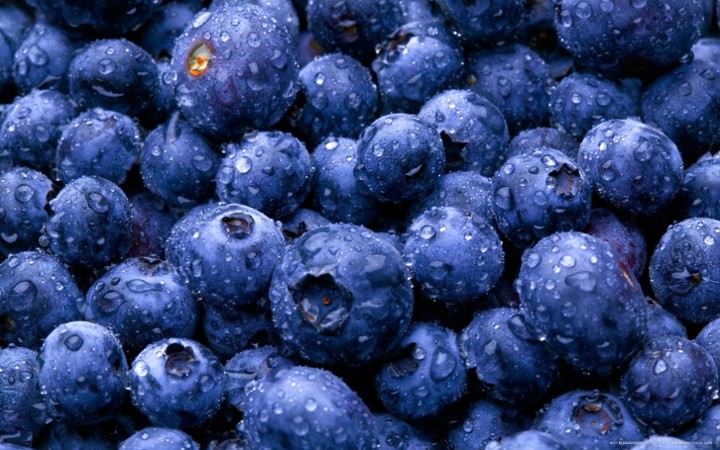 Blueberries - Side