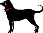 The Black Dog Bakery Cafe logo