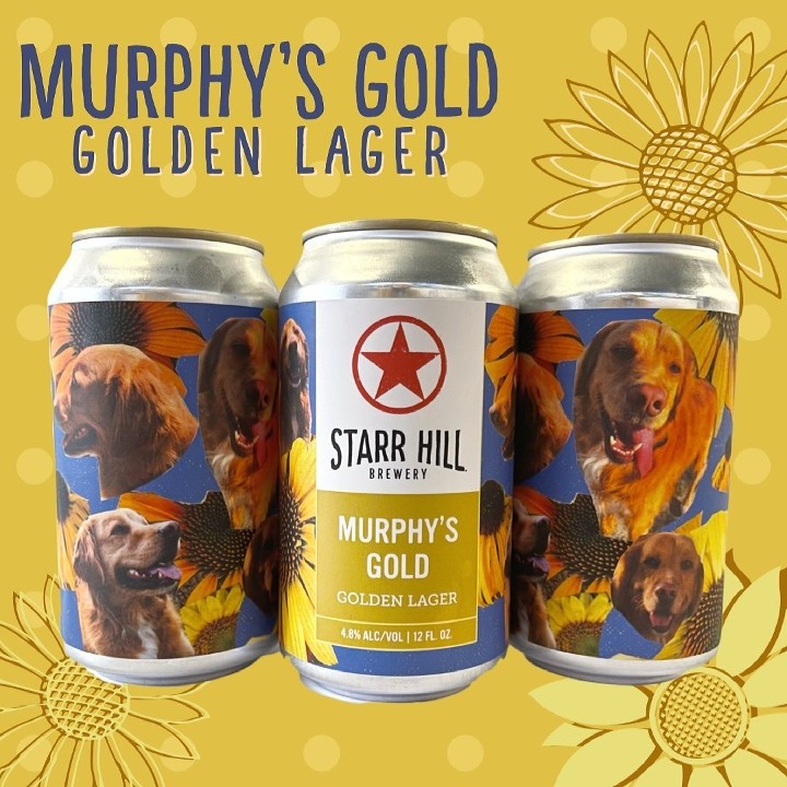 Murphy's Gold - 6PK