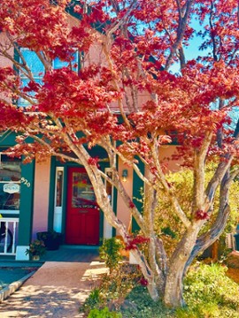 The Maple Tree Cafe 920 9 1/2 St NE